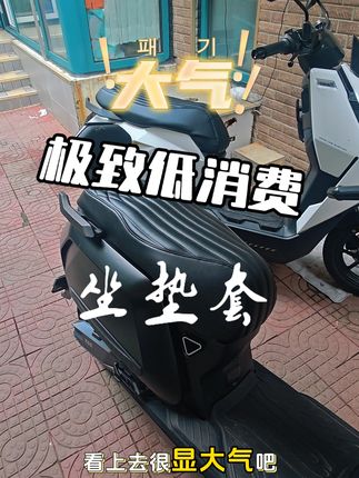 消费降级极致低消费,小牛FXT NXT坐垫套,其他车型也有同款!#小牛NXT #小牛FXT