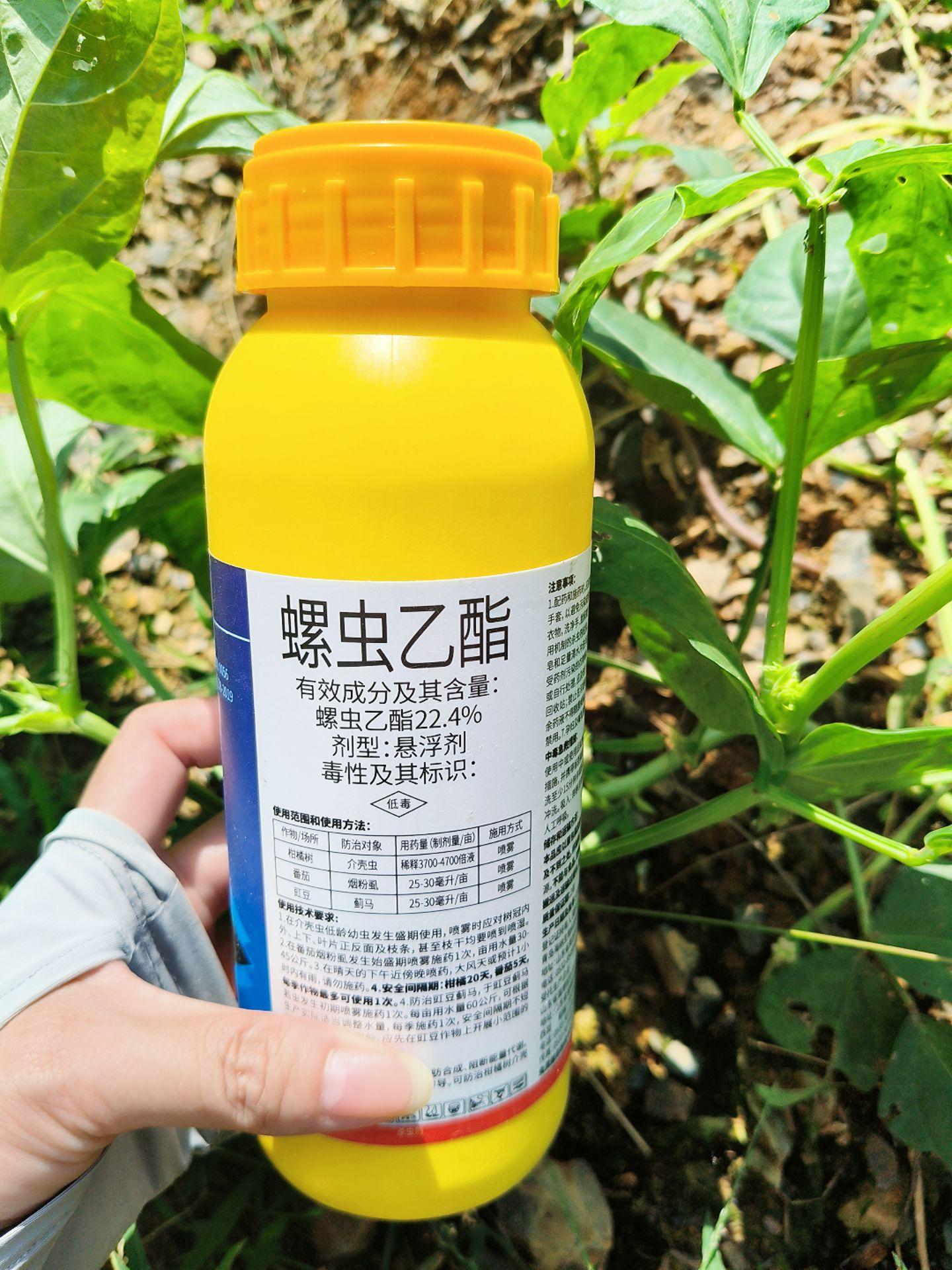 种植常备的22.4%螺虫乙酯来啦~如果你。种植常备的22.4%螺虫乙酯来啦~ 如果你柑橘树上的介壳虫已经产生了抗药性,用什么药都治不了,那你就用这个螺虫乙酯吧,它能使细胞质膜崩解,虫子双翅卷曲,最终虫子死亡。它是全新结构的新型杀虫剂,针对抗性介壳虫有特效。22.4%的螺虫乙酯双向内吸传导持效期长,虫卵兼打杀虫面广,对瓢虫、石牙龈等重要的异虫啊具有良好的选择性。它能够抑制暖孵化,影响成虫产卵,像蚧壳虫、红蜘蛛、白粉虱、烟粉虱、稻飞虱、梨木虱、 蓟马、盲春象这些啊,都能打,一瓶五百克,兑水两千斤,需要的家人们赶紧点击小车去拍吧! #柑橘管理 #果树管理 #柑橘#杀虫喷雾剂 #螺虫乙酯
