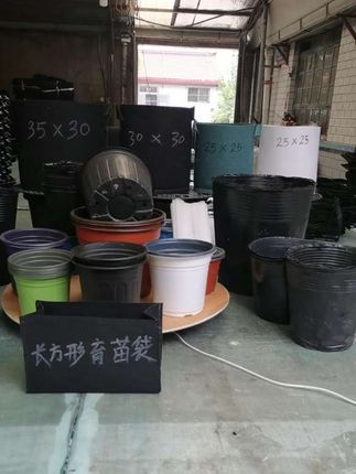 #营养杯 #植树袋