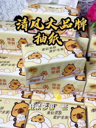 清风家的抽纸真的是一直在回购,又实用又好用!我的抽纸上都是卡皮巴拉!还是清风大品牌,关键这价到手20大包!姐妹们,赶紧冲啊!#抽纸 #生活用纸 #清风纸巾 #我可真会买#好物推荐🔥