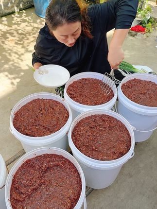 鲜虾做的大虾肉酱、蒸炒生吃