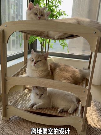 有了这个三层的猫抓板窝,睡的睡磨的磨爪,不要太得劲!#猫抓板 #猫窝#宠物降温神器