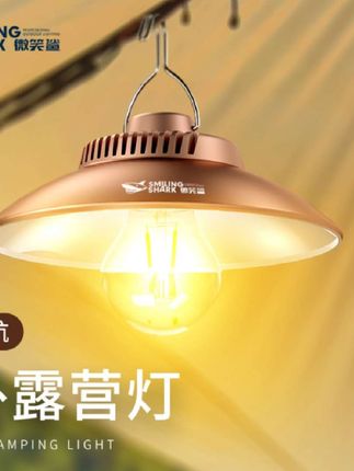 #露营车#户外露营#户外活动#露营灯具#照明灯