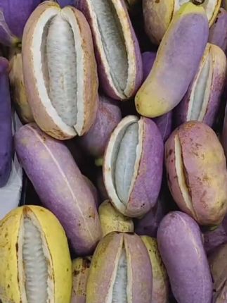 贵州八月瓜野香蕉新鲜现摘软糯香甜奶香整箱顺丰包邮#八月瓜#生鲜#水果#新鲜