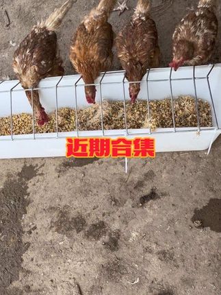 #抖音推广 #强烈推荐 来直播间抢福利了 点个关注不迷路 限时福利