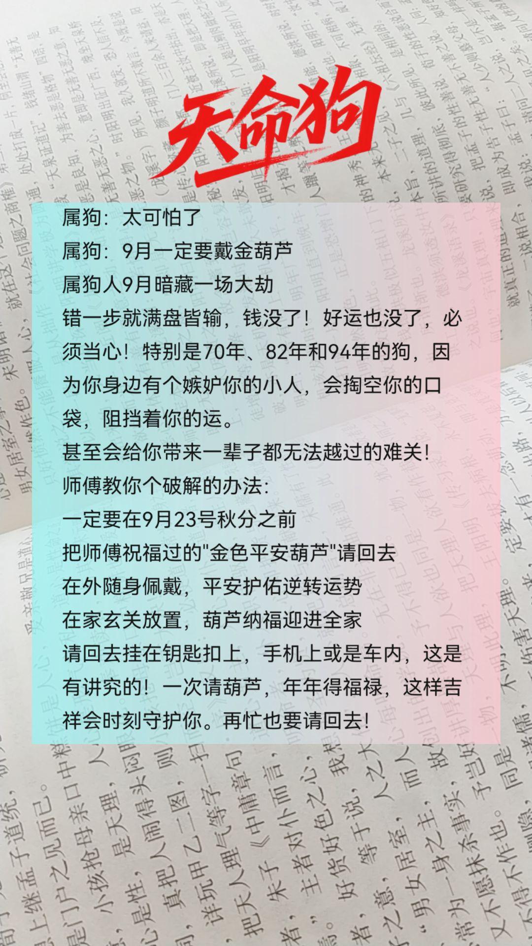 #1970年的狗 #1982年的狗 #1994年的狗