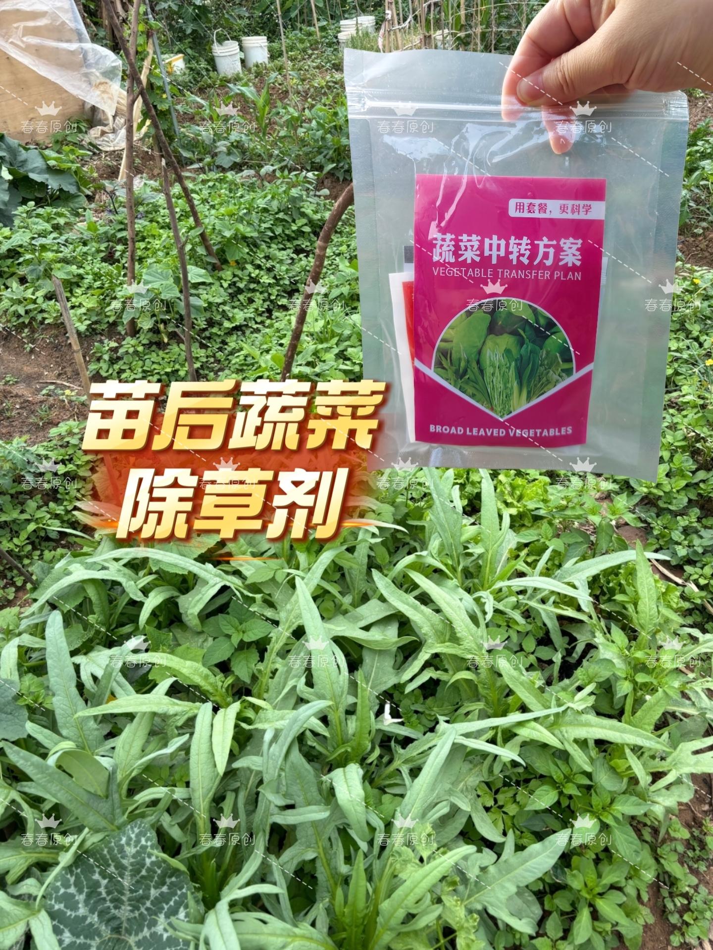 农友们看过来!这款蔬菜苗后专用除草方案,帮你轻松解决杂草难题! 它对牛筋草、稗草、狗尾草等多种顽固性禾本科杂草有效,且对白菜、辣椒、番茄、茄子、黄瓜等绝大多数阔叶蔬菜安全友好。 一套4小包,正好兑一桶水,直接对着杂草均匀喷雾即可。现在购买,工厂价直销,单套也包邮!点击下方链接,及时除草,让您的蔬菜茁壮成长! #蔬菜种植 #苗后除草 #安全高效 #除草不伤苗 #农资推荐
