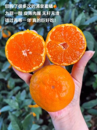 一车一车买的涌泉蜜橘🍊!九甜一酸,皮薄肉厚,无籽无渣!橘子味好浓郁,巨好吃!错过就要等明年了,抓紧多囤~#涌泉蜜桔 #蜜橘🍊 #新鲜采摘 #新鲜应季水果 #爆汁