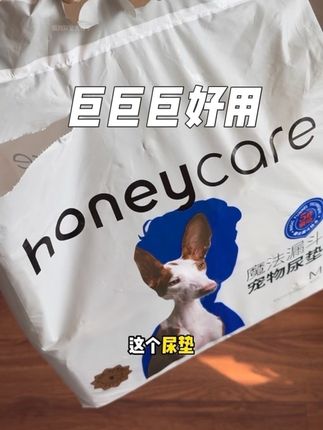 养狗的朋友,真可以去试试这个尿垫,很好用非常好用#萌宠好物 #honeycare好命家 #狗狗尿垫 #尿垫 #宠物尿垫