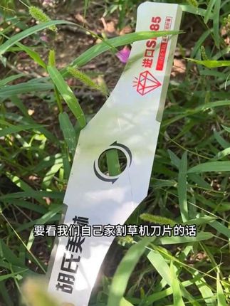 #支持三农扶持三农发展 #新款割草机刀片#速度快效率高 #农民好帮手