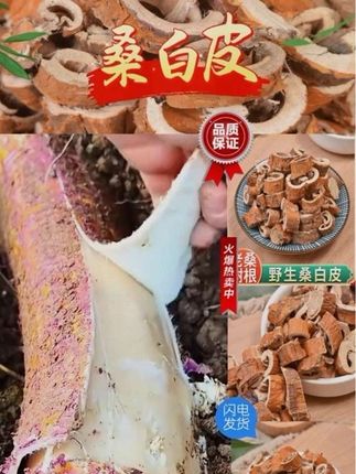 桑白皮正宗道地250g克无硫桑皮桑树根皮桑白皮茶可磨桑白皮粉#桑白皮#桑白皮的功效与作用#桑白皮怎么泡水#桑白皮泡茶