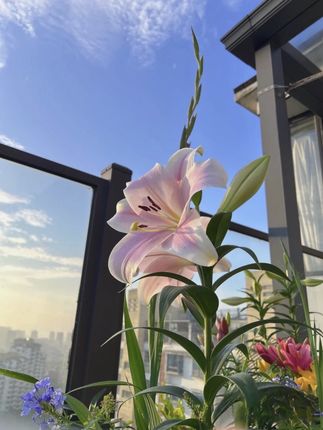 我滴妈呀!这个价就到手20大包巨无霸抽纸,真的太划算了#巨无霸抽纸 #抽纸推荐 #抽纸