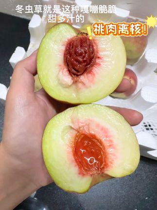 嘎嘣脆嘎嘎甜 巨脆巨甜!很有桃味!小朋友也超爱吃!果农现摘现发,头茬果贼新鲜!#新鲜应季水果 #优质农产品 #青州蜜桃 #桃子