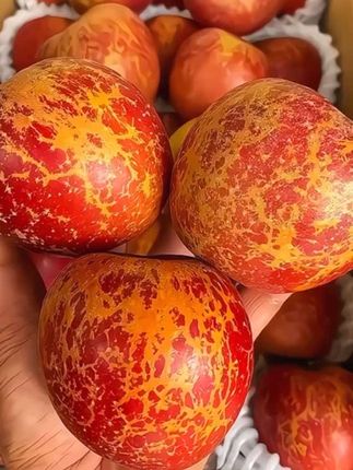 不愧是云南昭通丑苹果谁懂!这个🍎真的有甜甜的心!我妈吃了都说还要再吃又回购,丑到没朋友 甜到没对手。昭通丑苹果又脆又甜!已经回购五六次了 巨好吃#丑苹果 #又脆又甜 #新鲜应季水果 #口感特别好#现摘现发新鲜到家