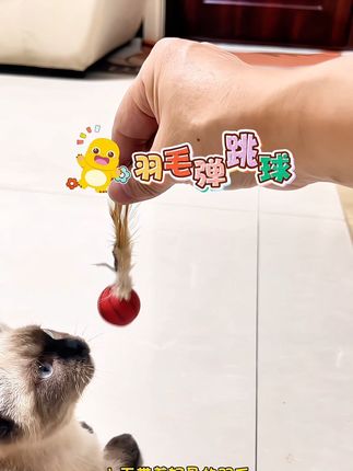猫玩具羽毛弹力球 有了它猫咪再也不无聊了#羽毛弹力球 #弹跳球#猫咪玩具羽毛弹力球 #无限回购的宝藏单品 #猫玩具球