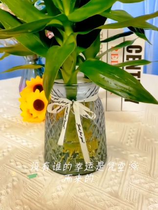#水培植物 #爱生活爱养花 #净化空气 #室内绿植
