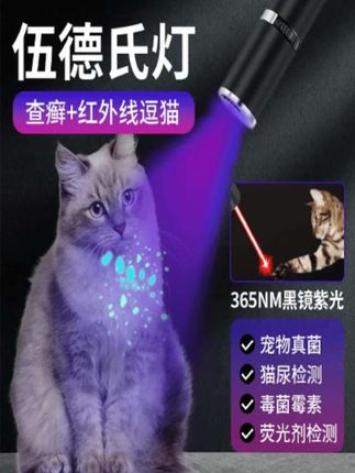 啊,有没有家里猫乱尿终于不用像狗一样到处趴着玩了。你看这里不知道啥时候吃的尿,我说怎么一股味,如果不打灯完全看不到,你就得靠这个灯再去找。猫尿,它本来是猫癣灯,就是猫身上的一些皮肤问题,用它一照就很容易看到。但是我发现像家里猫乱尿,它照起来特别好用,之前我跟个狗一样到处乱爬。我的天呐,尿的地方是这样的,谁看的?