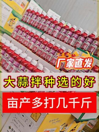 立秋之后种大蒜,选对拌种剂很关键#立秋 #种大蒜 #大蒜拌种 #大蒜种植 #分享农业知识帮农民增产增收