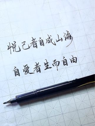 原来秀丽笔写字可以这么帅,不要命啦#秀丽笔 #练字#写字是一种生活