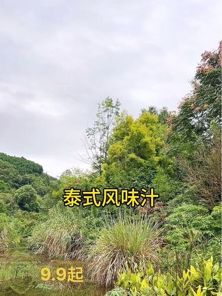 #户外 #泰式风味汁 汁浓入味,原来美味如此简单,泰式风味汁!