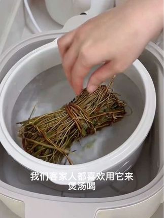 #鸡骨草 #鸡骨草煲汤 #营养价值高 #好货 #爱生活爱煲汤