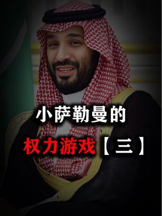 小萨勒曼传:铁幕之下的变法,如何用十年时间改变一个国家? 【三】#硬核深度计划 #零基础看懂全球