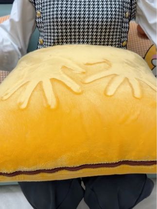 #抱枕被二合一 打开是被子,合上是抱枕,面料超级柔软舒适,盖着很保暖#加绒加厚 #抱枕被子两用 #车载抱枕被