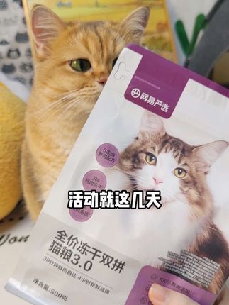 平时很贵的网易猫粮,现在都这么便宜了!这次活动是真划算啊 #吃货猫 #猫粮 #猫粮推荐