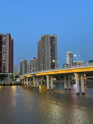 中蜂专用蜂路钉,把控巢框距离0.8厘米 #蜂路钉 #巢框钉 #养蜂用具 #中蜂养殖