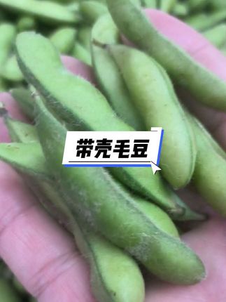 带壳毛豆 #毛豆 #带壳毛豆