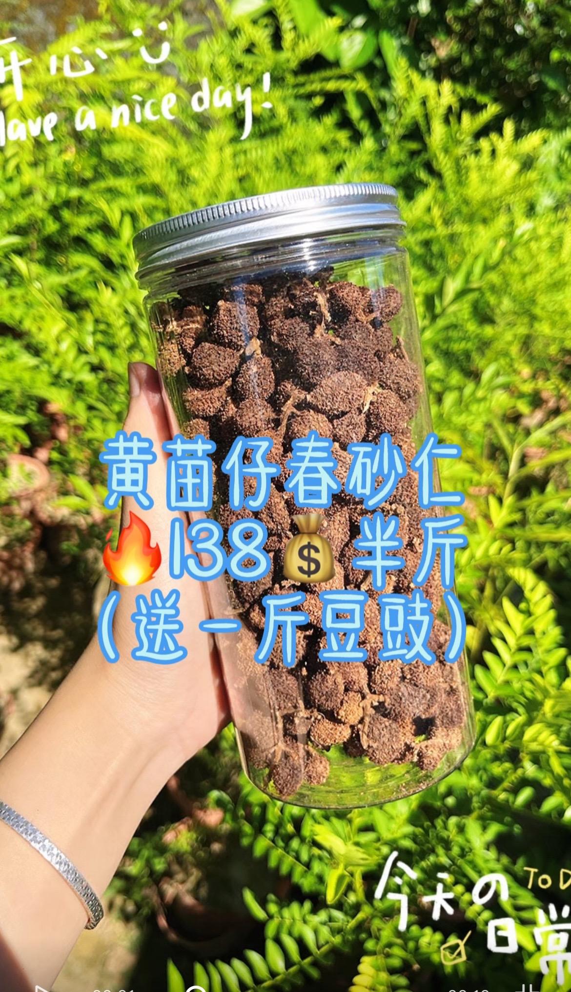 阳春黄苗仔春砂仁。#春砂仁煲鸡汤#春砂仁的功效与作用 #春砂仁的好处