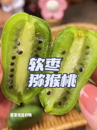软枣猕猴桃 vc含量是苹果的100倍 香甜多汁 快来补充维生素吧🌸#太好吃了 #应季水果 #软枣猕猴桃 #水果 #好吃到停不下来