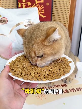 9块9到手两包麦富迪羊奶烘焙猫粮,不仅营养丰富猫咪爱吃,主要现在做活动两包才个位数#猫粮试吃 #猫粮 #猫咪