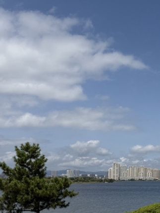市面上爆火的硒到底应该怎么选?一条视频讲清楚#信心康乐 #硒 #补硒 #亲测分享 #好物推荐