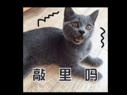 身边见过罕见的疾病吗?例如《熊猫型病》#科普 #科普一下 #女生必看#今日话题#曼波配音
