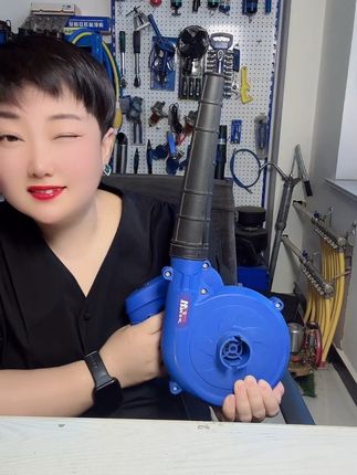 220v家用电吹吸两用大功率鼓风机