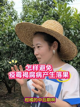怎样避免疫霉褐腐病产生落果?#三农 #柑橘种植