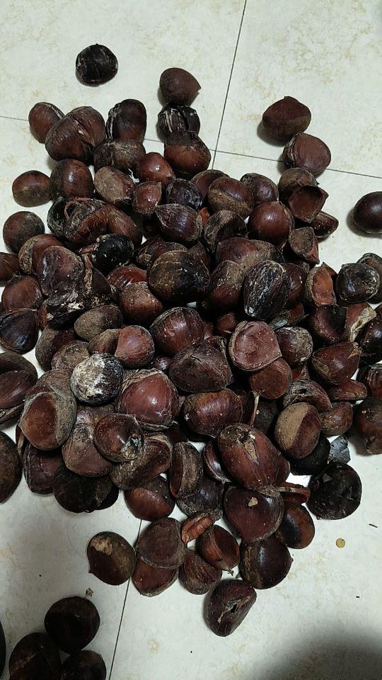 失误了,请各位不要买我上狗当了烂的有一半,也懒得退了没多少钱算了#我在抖音买买买