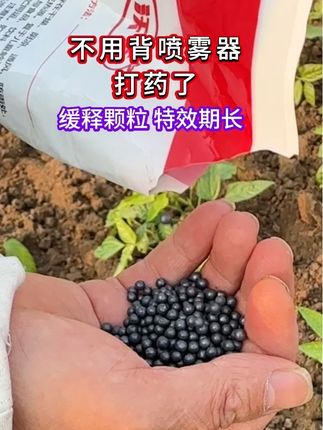 不用背喷雾器打药了 #病虫害防治 #联苯噻虫胺 #蔬菜种植 #防虫颗粒 #源头工厂