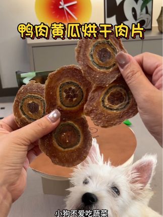 秋季太适合给狗狗吃鸭肉黄瓜肉干啦#狗零食 #宠物零食 #养狗经验分享