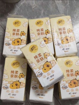 真的要被这个卡皮巴拉圈粉了,这也太可爱了还是清风的挂抽式,一大箱10提真的超划算姐妹们赶紧冲