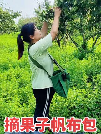摘果子帆布包水果采摘神器。#摘果子 #水果采摘 #采摘神器 #苹果采摘 #丰收的季节硕果累累