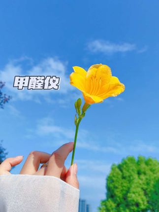 夸孩子也是一门学问要用对方式,不然只能适得其反。#亲子教育 #育儿  #家庭教育  #父母课堂  #干货分享