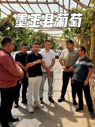 这次去和田墨玉县,跟这里领导们一起品尝这里的优良品种葡萄。