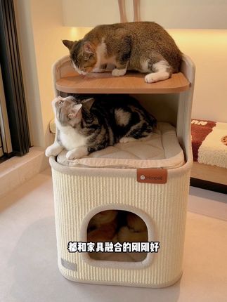 集猫窝猫抓板猫窝爬架于一身的树桶还能藏猫猫 表面是个小茶几,下面怎么还钻出来个小猫头?一窝两用超实用#萌宠好物 #猫窝 #猫爬架