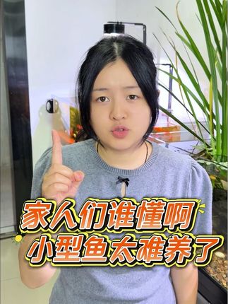 你们总说鱼粮浑水,我们这次全新升级了配方,真正做到不浑水不沉底#鱼儿自由自在的水中游 #鱼缸里的大自然 #水缸养鱼 #养鱼 #造景鱼缸