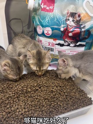 多猫家庭真买不起太贵的猫粮,其实一个月几十块也能让小猫吃的圆润又可爱,就这个全价乳鸽三文鱼猫粮,我家猫吃了真的嘎嘎长肉#萌宠好物 #猫粮推荐 #妙斯顿猫粮