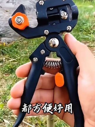 #我不是买文具天才吗 #园林 #果树管理 #果农