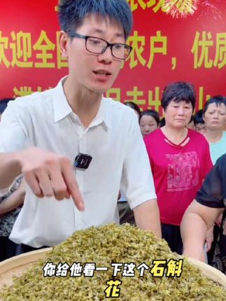 云七斛云南铁皮石斛花干花瓶装铁皮石斛干条石斛花泡茶滋补营养#上热门 #好看 #好吃 #好喝