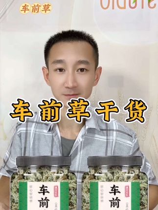 #车前草 #土特产干货 #优质农产品